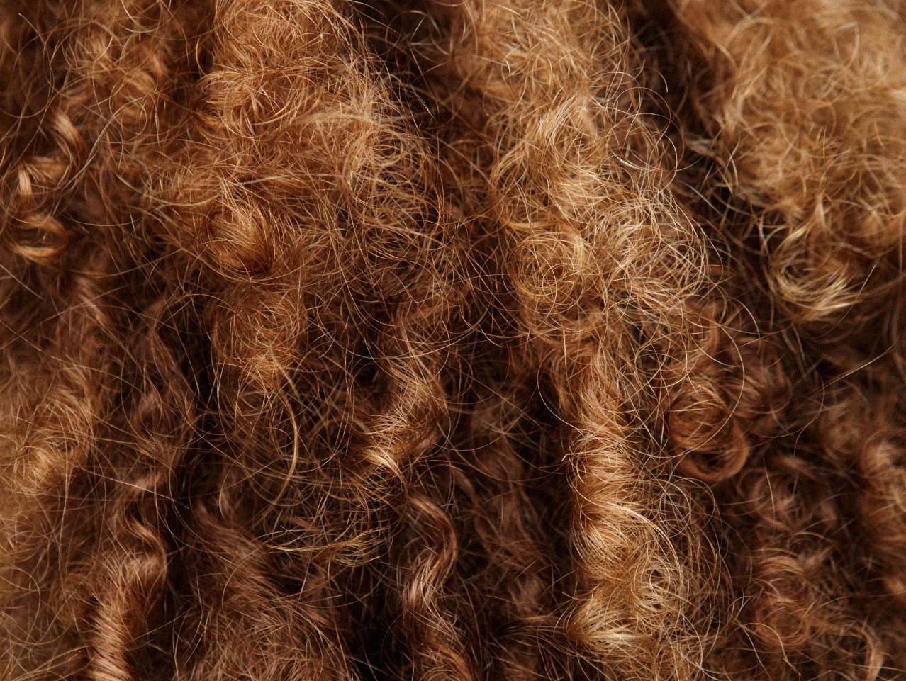 tumblr_ncgm5moVR71r5uscwo1_1280